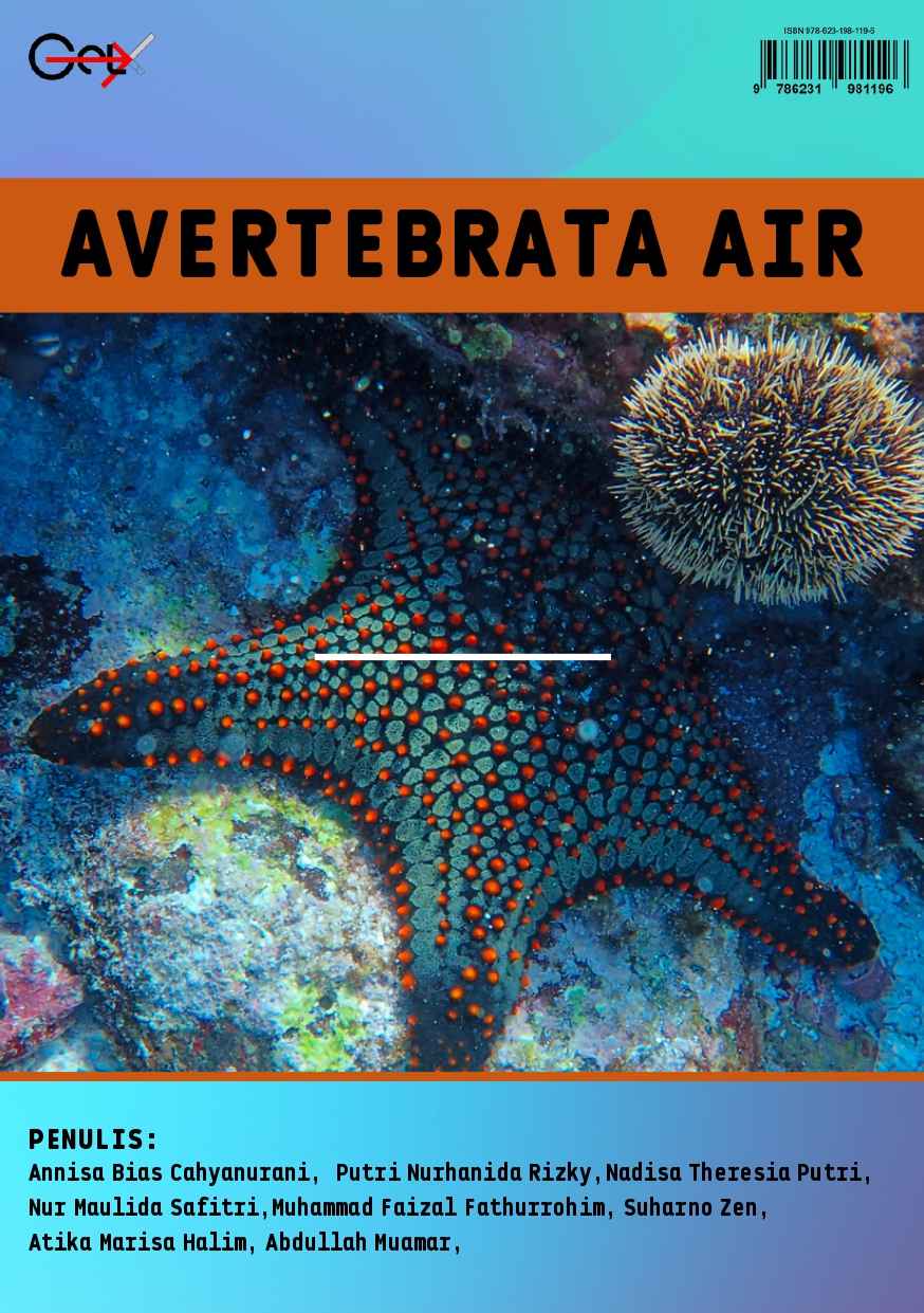 AVERTEBRATA AIR